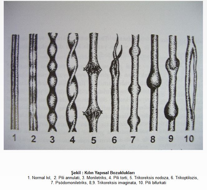 Ad:  sa.JPG
Gsterim: 968
Boyut:  79.8 KB