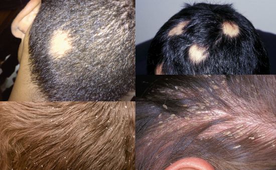 Ad:  sa2.jpg
Gsterim: 1522
Boyut:  50.0 KB