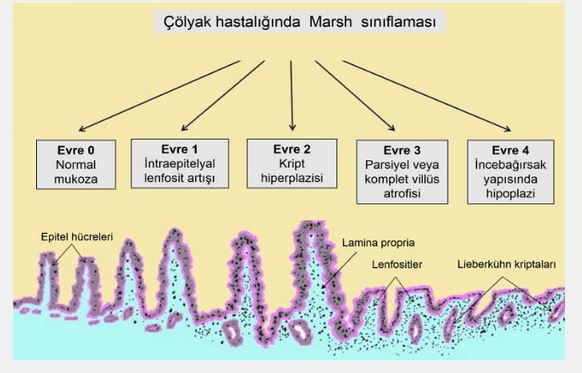 Ad:  5.JPG
Gsterim: 3126
Boyut:  44.6 KB
