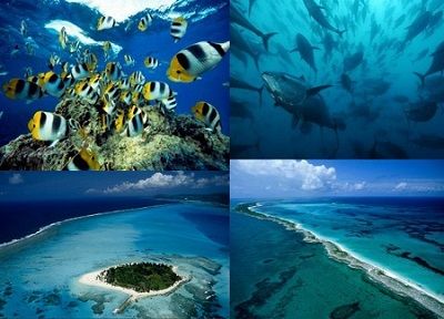 Ad:  okyanus.JPG
Gsterim: 2602
Boyut:  28.3 KB