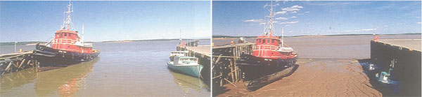 Ad: Watt Kıyı Tipi.jpg
Gösterim: 3435
Boyut: 22.2 KB