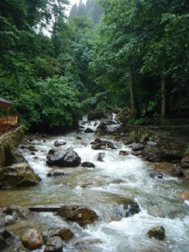 Ad:  trabzon.jpg
Gsterim: 751
Boyut:  75.0 KB