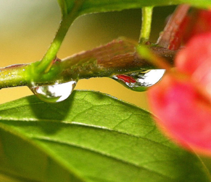 Ad:  reflections.jpg
Gsterim: 226
Boyut:  141.3 KB