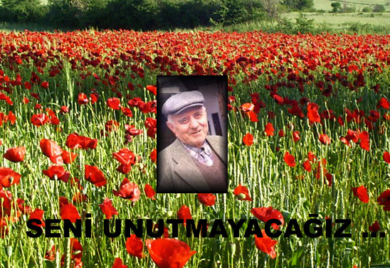 Ad:  1.jpg
G�sterim: 433
Boyut:  215.4 KB