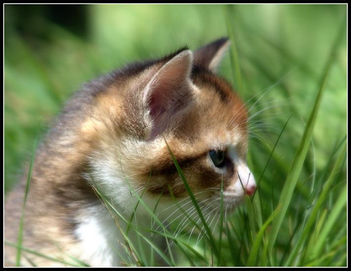 Ad:  lucky.jpg
Gsterim: 394
Boyut:  50.5 KB