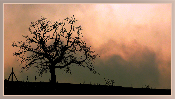 Ad:  genesis.jpg
Gsterim: 286
Boyut:  162.3 KB