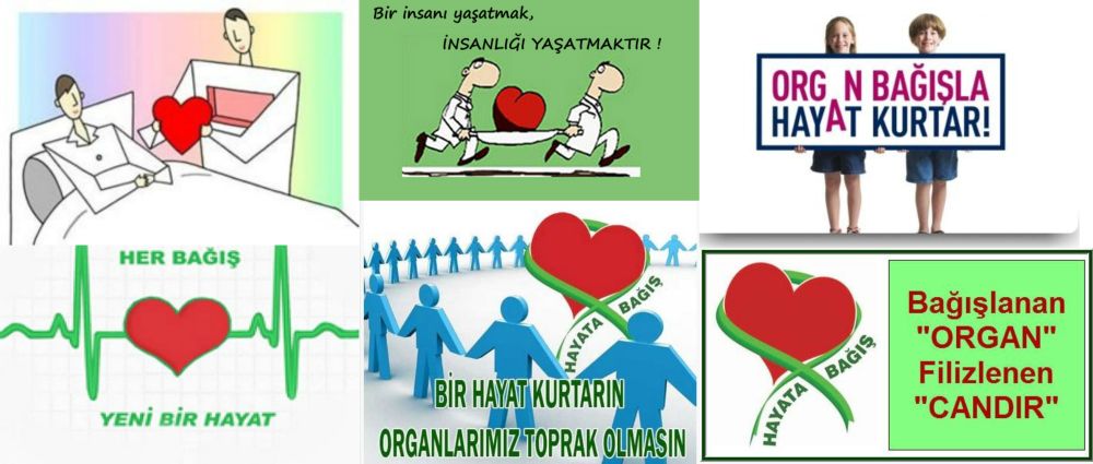 Ad:  ba2.jpg
Gsterim: 8093
Boyut:  71.7 KB