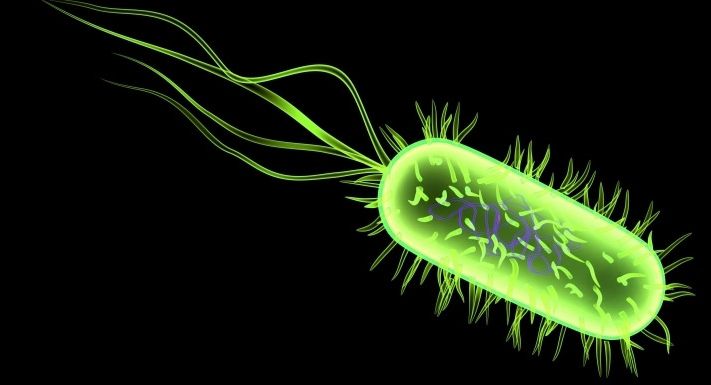 Ad:  bakteri-3.jpg
Gsterim: 6616
Boyut:  28.9 KB