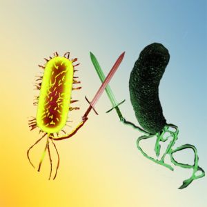 Ad:  Bakteriler-5.jpg
Gsterim: 3634
Boyut:  12.5 KB