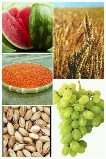 Ad:  tarim rnleri365x547.jpg
Gsterim: 19484
Boyut:  70.4 KB