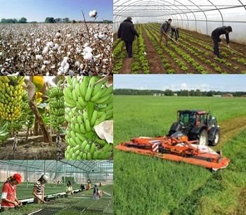 Ad: AkdenizBölgesi.JPG
Gösterim: 7740
Boyut: 37.1 KB