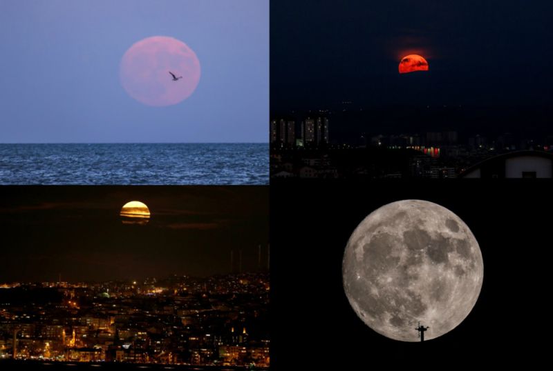 Ad:  Sper ay2.jpg
Gsterim: 1602
Boyut:  36.3 KB