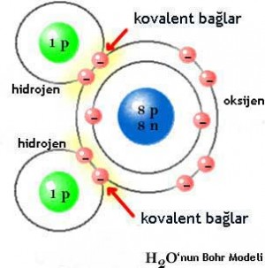 Ad: bağlar7.jpg
Gösterim: 1616
Boyut: 23.5 KB