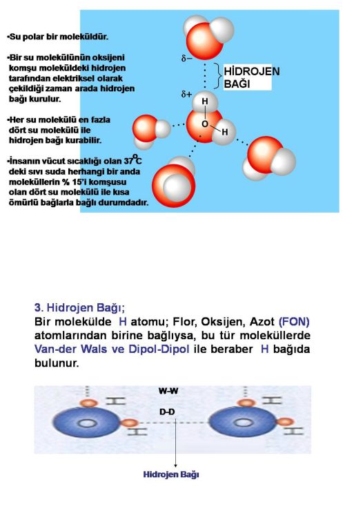 Ad:  hidrojen ba1.jpg
Gsterim: 2892
Boyut:  52.8 KB