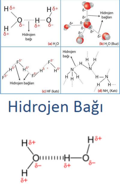 Ad:  hidrojen ba3.jpg
Gsterim: 5318
Boyut:  27.8 KB