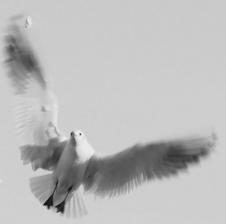 Ad:  da_maize.jpg
Gsterim: 407
Boyut:  22.2 KB