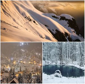 Ad:  kar nasl yaar11.jpg
Gsterim: 673
Boyut:  25.1 KB