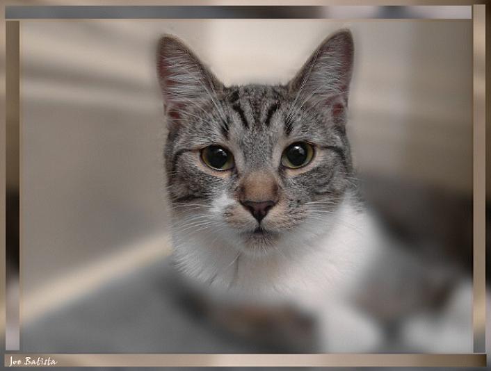 Ad:  pho55555mmm.jpg
Gsterim: 343
Boyut:  35.3 KB