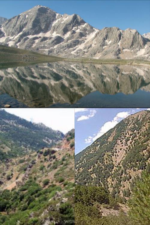 Ad:  Sultan Dalar.jpg
Gsterim: 1694
Boyut:  73.9 KB