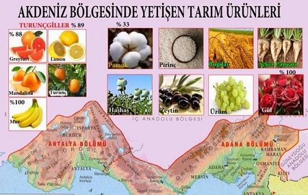 Türkiye haritası bölgeler ve özellikleri