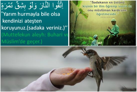 Ad:  sadaka99.jpg
Gsterim: 814
Boyut:  37.6 KB