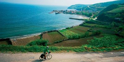 Ad:  Diley_Yarmdas_Ulusal_Park.JPG
Gsterim: 2286
Boyut:  19.6 KB