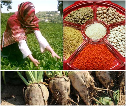 Ad:  baklagiller ay ekerpancar.jpg
Gsterim: 908
Boyut:  66.4 KB