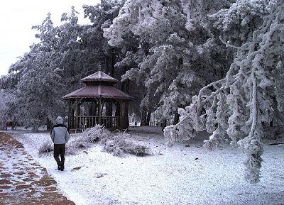 Ad: Spil Dağı Milli Parkı.JPG
Gösterim: 2134
Boyut: 43.2 KB