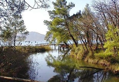 Ad:  Marmaris Milli Park.JPG
Gsterim: 2012
Boyut:  45.7 KB