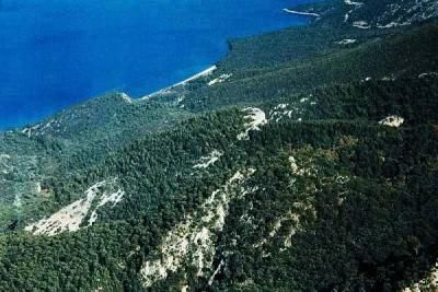 Ad: Büyük Menderes Deltası Milli Parkı.JPG
Gösterim: 723
Boyut: 28.9 KB