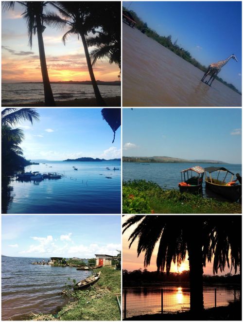 Ad:  victoria gl45.jpg
Gsterim: 625
Boyut:  64.6 KB