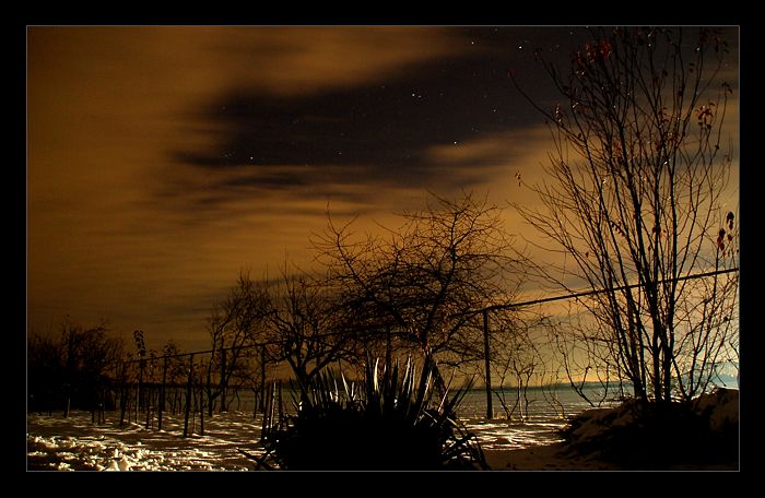 Ad:  dvoriste.jpg
Gsterim: 272
Boyut:  63.4 KB