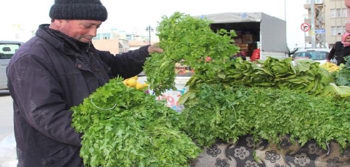 Ad: maydonoz yetiştirme.jpg
Gösterim: 2453
Boyut: 107.5 KB