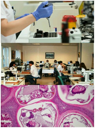 Ad:  patoloji-390x525.jpg
Gsterim: 841
Boyut:  65.9 KB