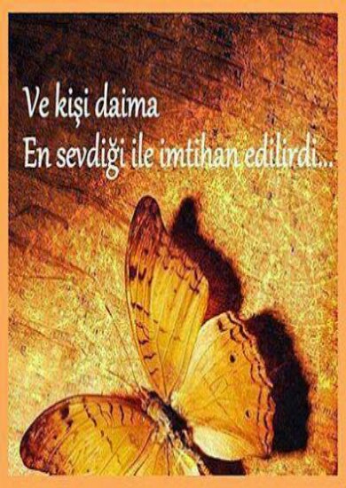 Ad:  Hz Yakup-390x550.jpg
Gsterim: 2200
Boyut:  83.0 KB