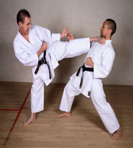 Ad:  karate.jpg
Gsterim: 1175
Boyut:  54.1 KB