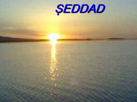 Ad:  eddad.JPG
Gsterim: 2766
Boyut:  24.8 KB