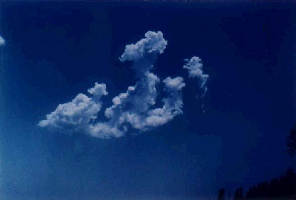 Ad:  4.JPG
Gsterim: 372
Boyut:  14.0 KB