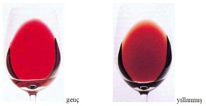 Ad:  4.JPG
Gsterim: 1708
Boyut:  24.7 KB