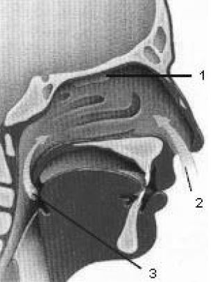 Ad:  5.JPG
Gsterim: 1551
Boyut:  27.7 KB