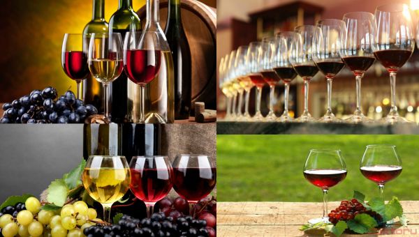 Ad:  Şarap, Şarap Kültürü, Şarap ve Şarapçılık Hakkında Bilgiler4.jpg
Gösterim: 2390
Boyut:  48.3 KB