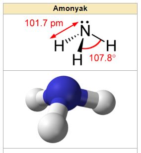 Ad: 1.JPG
Gösterim: 1196
Boyut: 19.1 KB