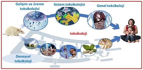 Ad:  nanotoksikoloji.jpg
Gsterim: 2501
Boyut:  51.1 KB