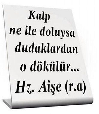 Ad:  Hz.Aie2.JPG
Gsterim: 3267
Boyut:  20.4 KB