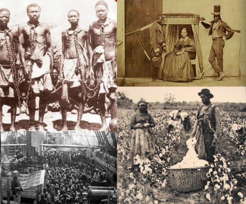 Ad:  Klelik2.jpg
Gsterim: 2291
Boyut:  63.5 KB