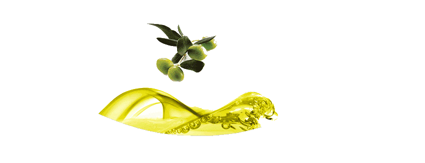 60413d1482230937 zeytin olea europaea zeytin - 60413d1482230937 zeytin olea europaea zeytin