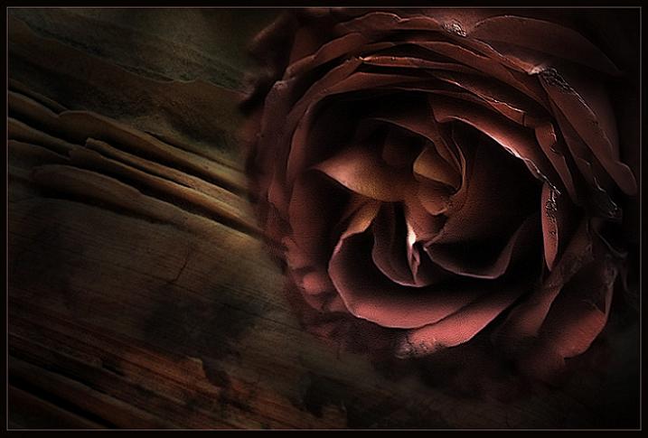 Ad: 4525607.jpg
Gösterim: 359
Boyut: 41.5 KB