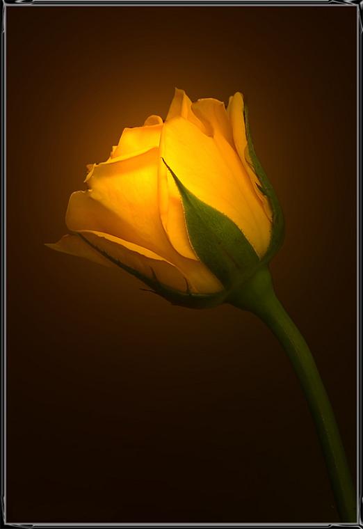 Ad: lrg_29221_1108588919.jpg
Gösterim: 382
Boyut: 24.9 KB