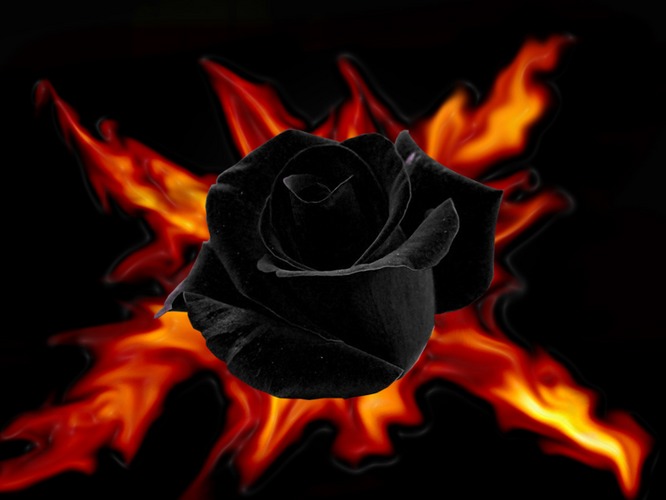 Ad: 2683243.jpg
Gösterim: 352
Boyut: 45.4 KB