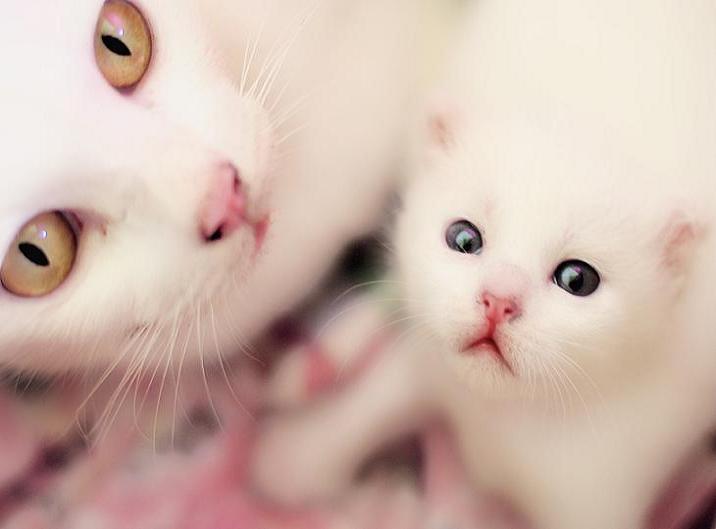 Ad:  My_beautiful_mama_and_me__by_SubterfugeMalaises.jpg
Gsterim: 222
Boyut:  25.5 KB